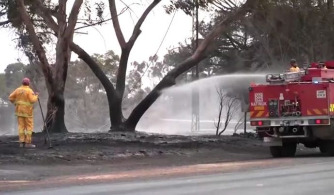 CALOR NA AUSTRÁLIA: IMPACTOS DOS INCÊNDIOS FLORESTAIS