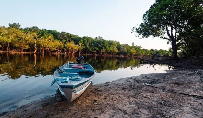 DESMATAMENTO: ÁREAS PROTEGIDAS REDUZEM IMPACTO EM 2025
