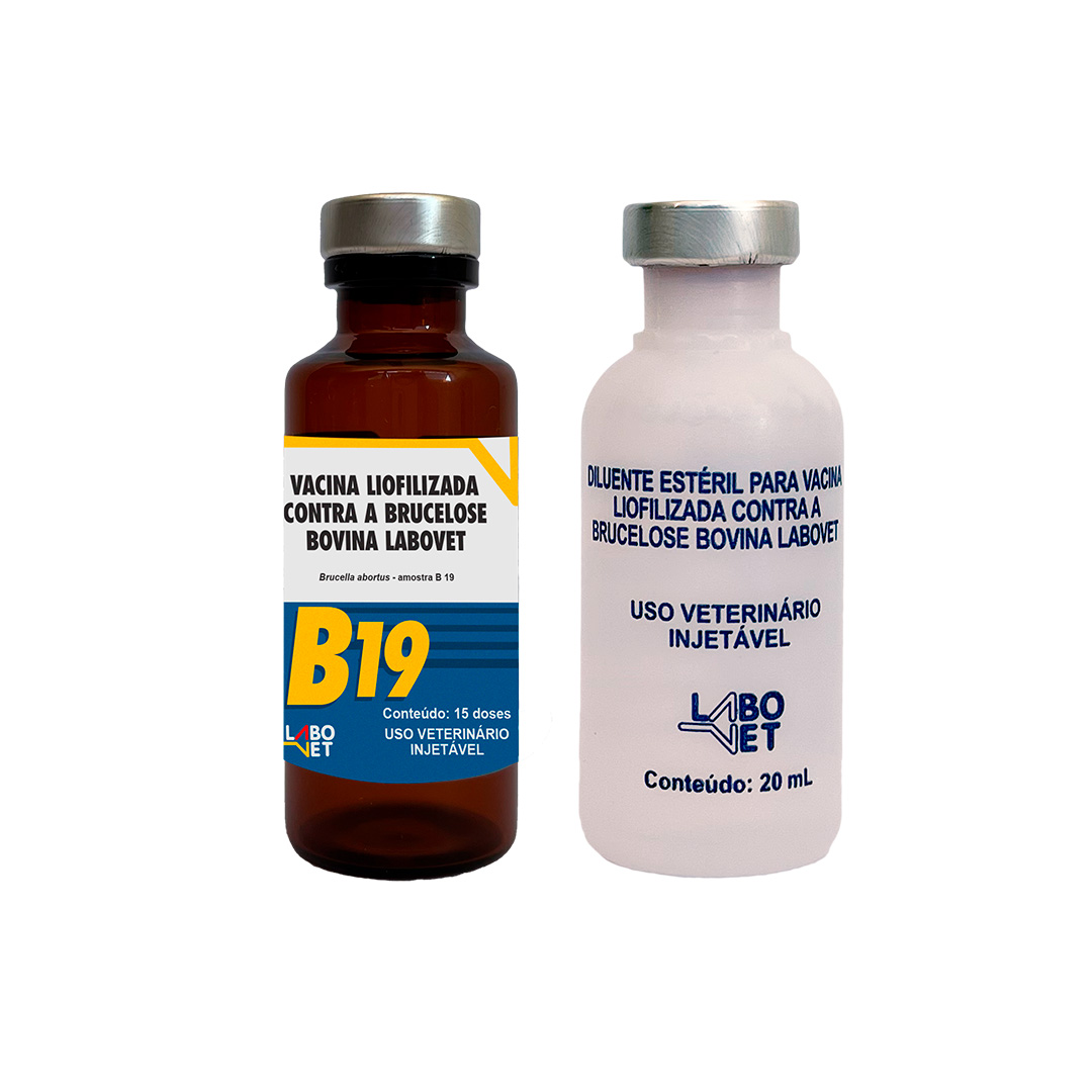 VACINAÇÃO CONTRA BRUCELOSE EM CASTILHO 