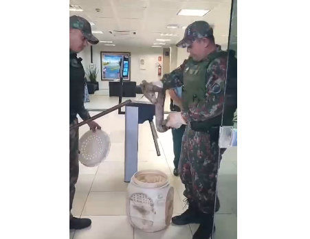 RESGATE DE ANIMAIS SILVESTRES: AÇÕES DA POLÍCIA AMBIENTAL