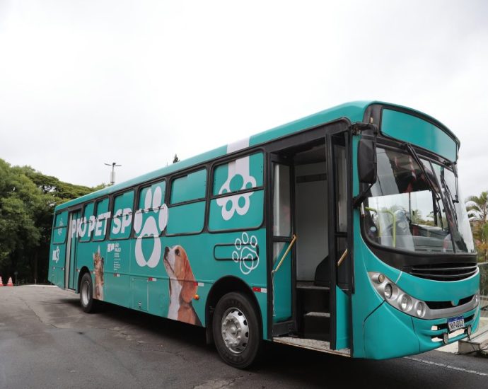 PRO PET SP CONFIRMA MUTIRÕES DE CASTRAÇÃO EM CASTILHO E REGIÃO