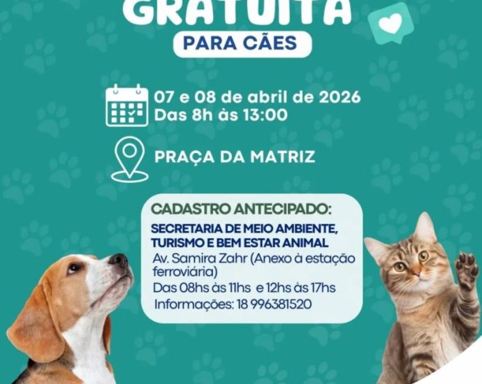 Início do Mutirão de Castrações e Microchipagem em Ilha Solteira