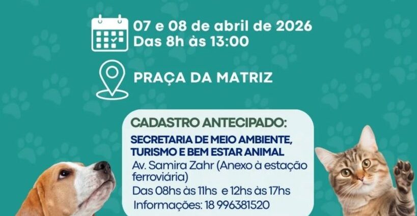 Início do Mutirão de Castrações e Microchipagem em Ilha Solteira