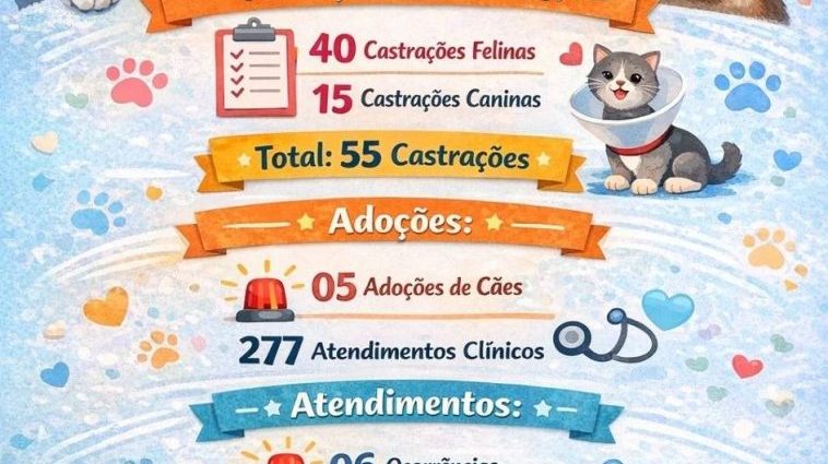 PROTEÇÃO ANIMAL: AÇÕES EM CASTILHO EM 2023