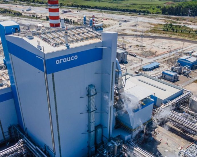 Arauco Brasil abre novas vagas de emprego em várias regiões