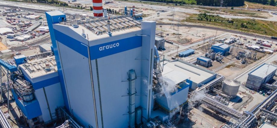 Arauco Brasil abre novas vagas de emprego em várias regiões