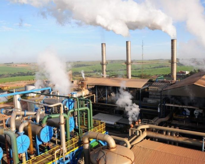 Clealco realiza ‘Dia D’ em Luiziânia com oportunidades no setor agrícola