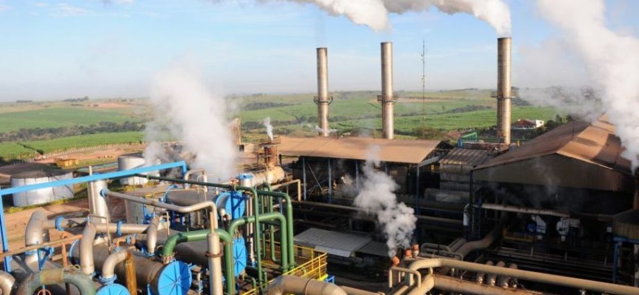 Clealco realiza ‘Dia D’ em Luiziânia com oportunidades no setor agrícola