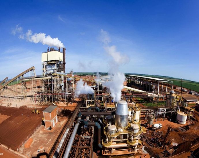 São Martinho Abre Vagas em Unidades do Agronegócio em SP e GO