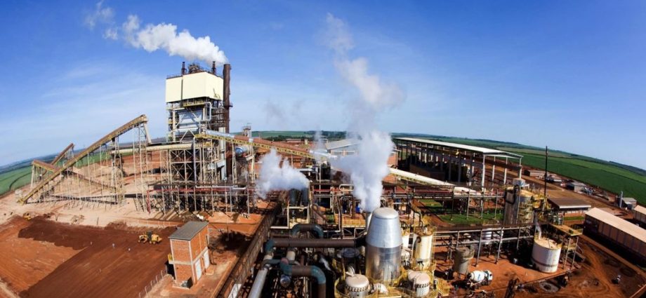 São Martinho Abre Vagas em Unidades do Agronegócio em SP e GO