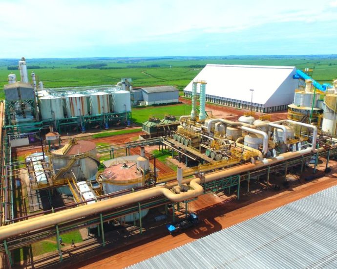 Usina Da Mata Açúcar e Álcool Realiza Plantão de Empregos em Guararapes