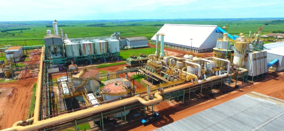 Usina Da Mata Açúcar e Álcool Realiza Plantão de Empregos em Guararapes