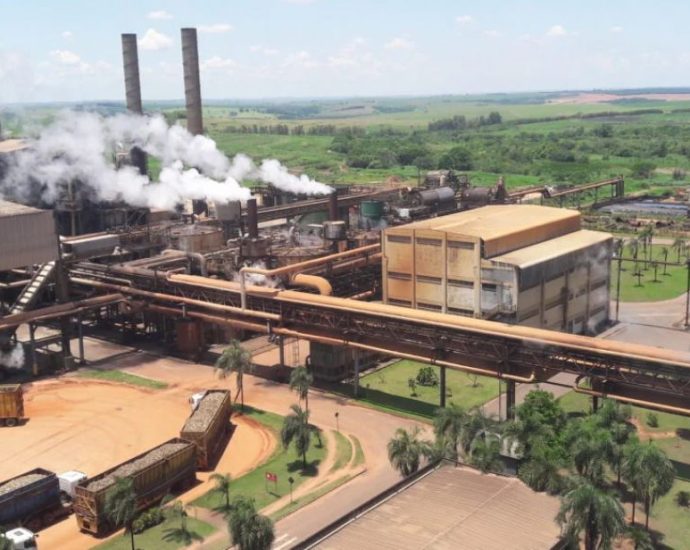 Clealco abre novas vagas de emprego em Clementina e Queiroz