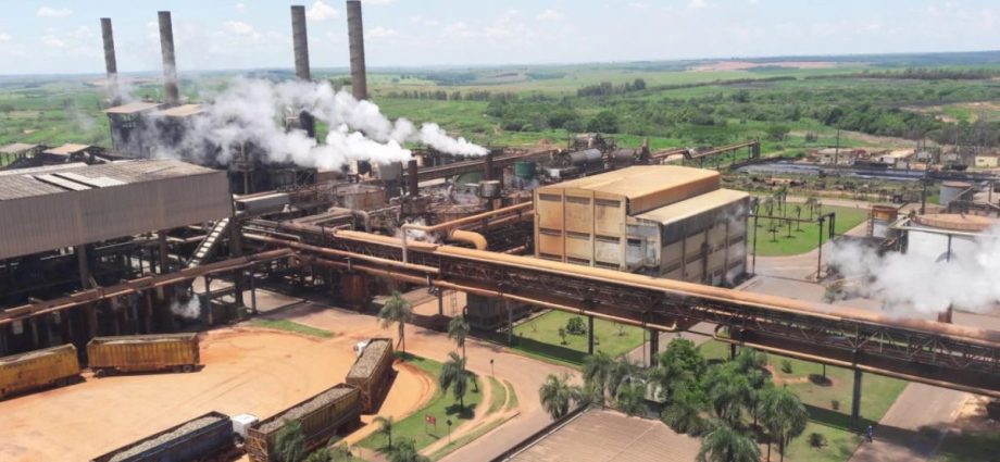 Clealco abre novas vagas de emprego em Clementina e Queiroz