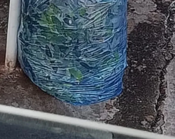 SACO AZUL: ORIENTAÇÕES PARA COLETA SELETIVA EM CASTILHO