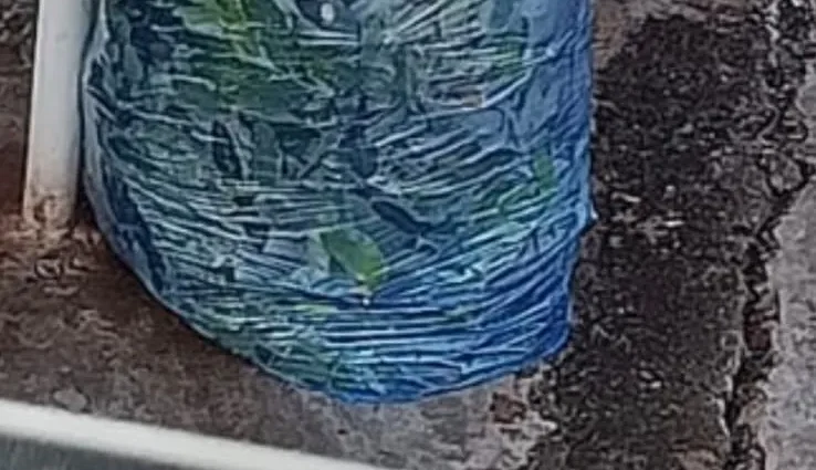SACO AZUL: ORIENTAÇÕES PARA COLETA SELETIVA EM CASTILHO
