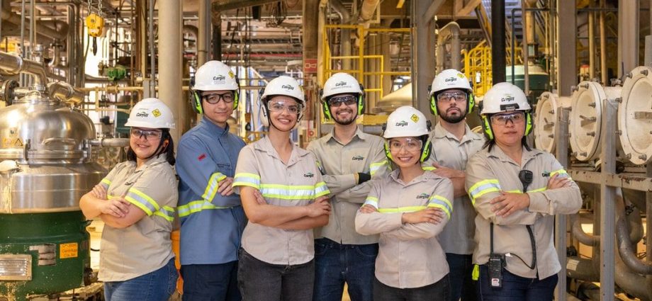 Cargill abre vagas de estágio para 2026 em Três Lagoas e outras regiões; veja como participar