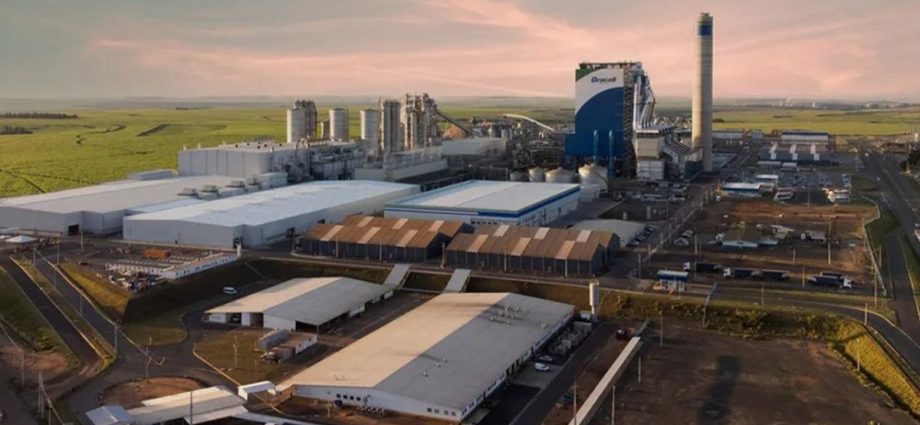 Bracell Abre Vagas para Manutenção Automotiva e Setor Florestal em São Paulo