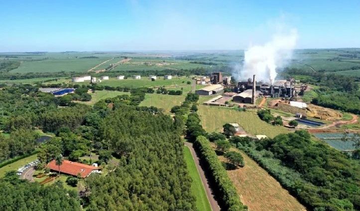 Usina São Domingos Abre Vagas para Setores Industrial, Automotivo e Agrícola