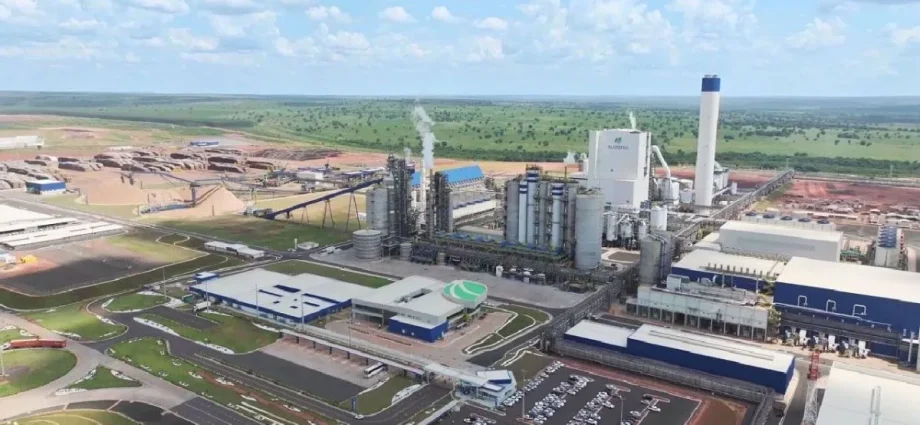 Suzano MS 2026: Novas Vagas Abertas em Três Lagoas, Ribas e Brasilândia