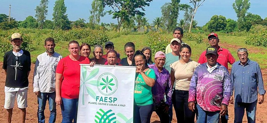 Parcerias de peso fortalecem a produção orgânica em Castilho (SP)