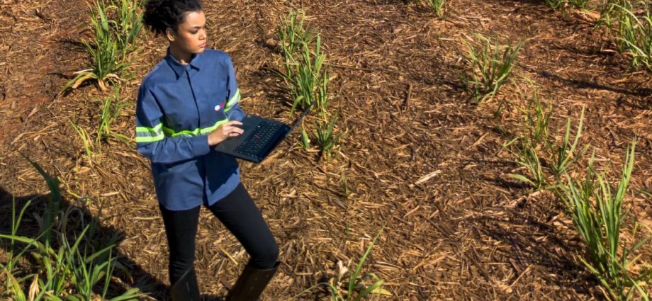 Tereos Abre Mais de 100 Vagas para o Programa de Estágio Jovens Talentos