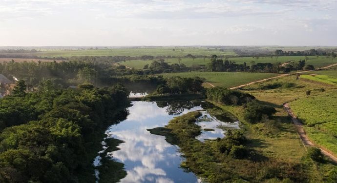 Diana Bioenergia abre novas vagas de emprego em Avanhandava e região; confira os cargos