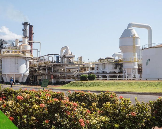 Pedra Agroindustrial abre vagas para Programa de Aprendiz na Usina Ipê em Nova Independência