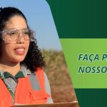 Usina Santa Adélia abre novas oportunidades de emprego em São Paulo