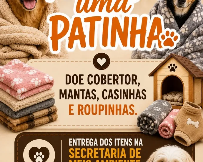 Campanha
