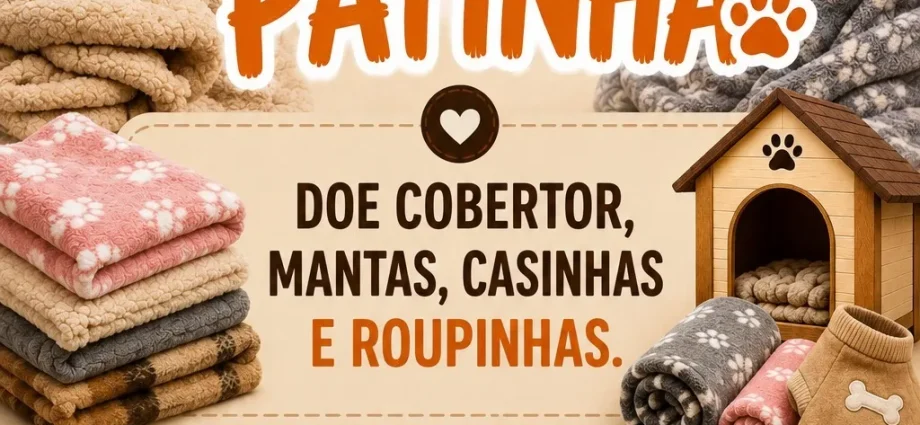 Campanha