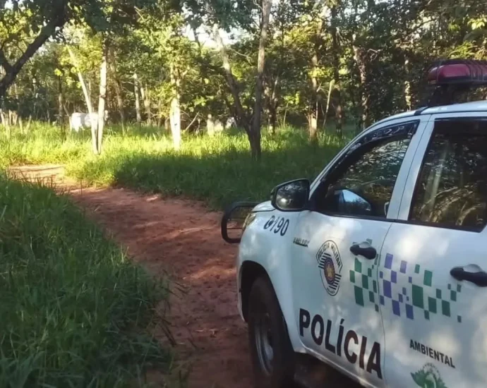 MULTA AMBIENTAL DE R$ 13 MIL REACENDE DEBATE SOBRE REALIDADE DOS PEQUENOS PRODUTORES RURAIS