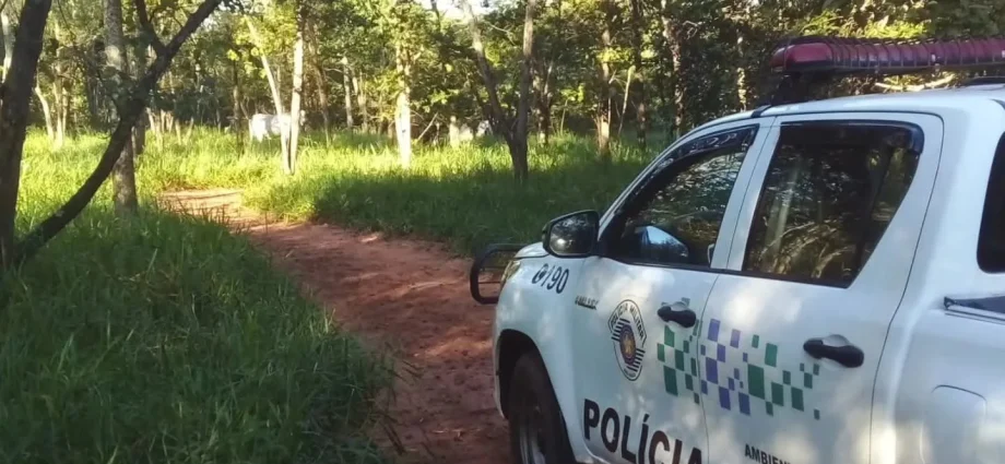 MULTA AMBIENTAL DE R$ 13 MIL REACENDE DEBATE SOBRE REALIDADE DOS PEQUENOS PRODUTORES RURAIS