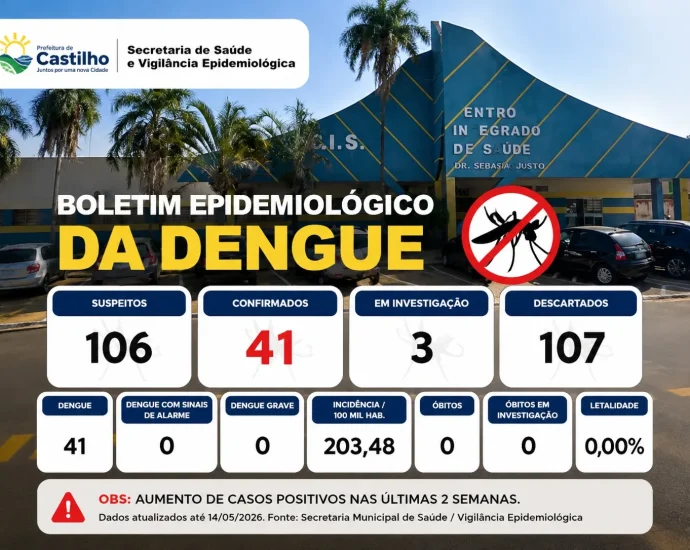 Aumento dos Casos de Dengue em Castilho: Alerta e Medidas de Prevenção