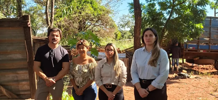 Resgate de 21 Suínos em Castilho: Ação Combate Maus-Tratos Animais
