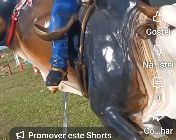 Vídeo: é hoje! Festa do Peão em Castilho 2026 começa nesta quinta-feira