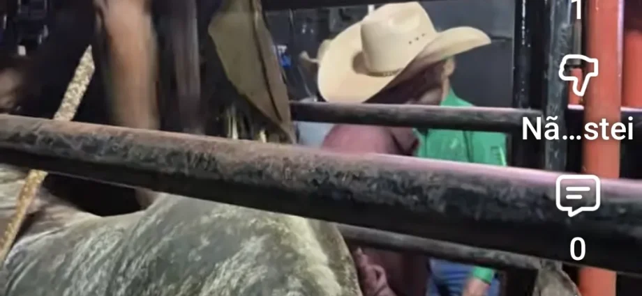 VÍDEO: Touros já estão prontos para a abertura do rodeio em Castilho
