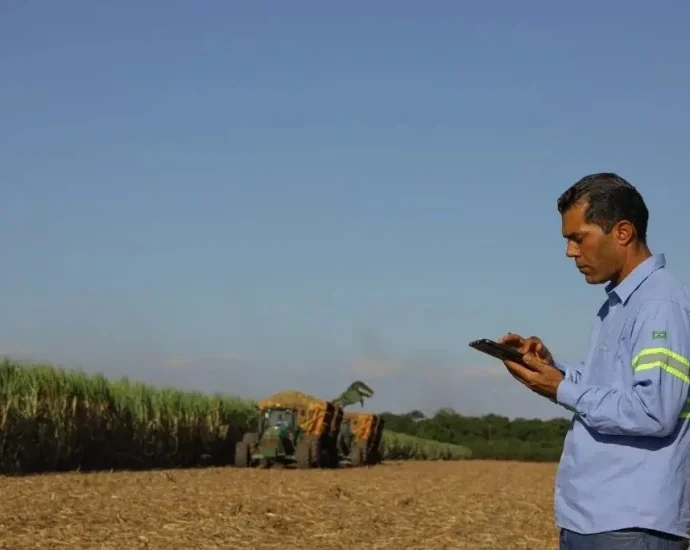 Lins Agroindustrial promove seleção de talentos em Promissão