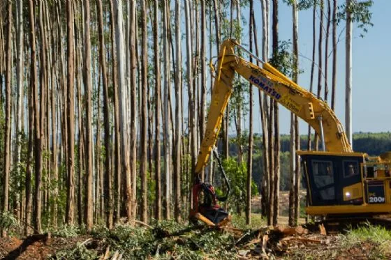 Bracell Lança Curso Gratuito para Formação de Operadores de Máquinas de Colheita