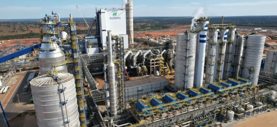Suzano Abre Novas Vagas em Ribas do Rio Pardo: Oportunidades na Indústria e Silvicultura