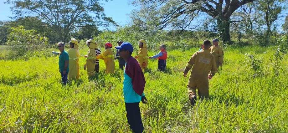 Prefeitura de Castilho capacita brigadistas e Defesa Civil para garantir segurança no trabalho