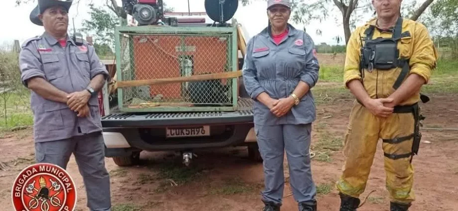 MACACO FERIDO É RESGATADO PELA BRIGADA EM CASTILHO (SP)