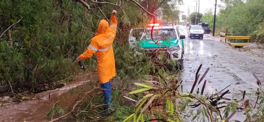 TEMPORAL EM ANDRADINA CAUSA DANOS E QUEDA DE ÁRVORES