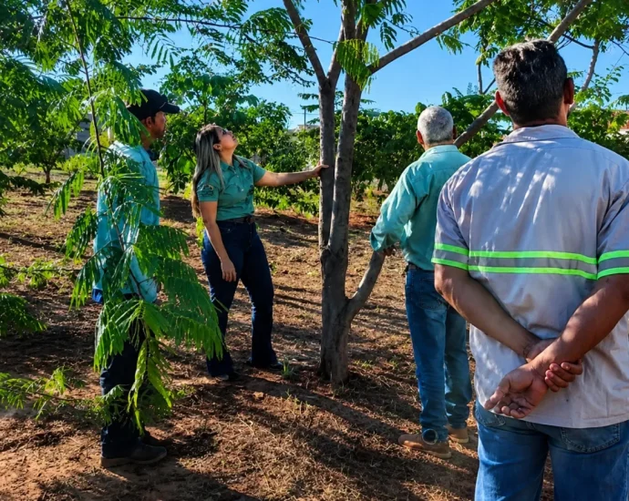 EQUIPE DE JARDINAGEM PARTICIPA DE TREINAMENTO SOBRE PODA DE ÁRVORES