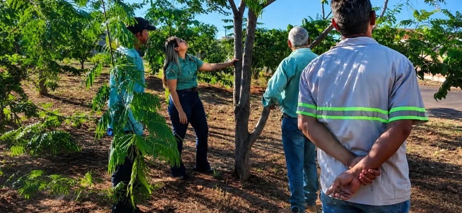EQUIPE DE JARDINAGEM PARTICIPA DE TREINAMENTO SOBRE PODA DE ÁRVORES