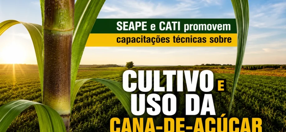 CAPACITAÇÕES SOBRE CANA-DE-AÇÚCAR EM CASTILHO SP