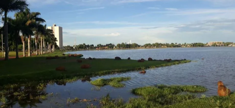 Previsão do Tempo: Calor Intenso e Baixa Umidade em Três Lagoas