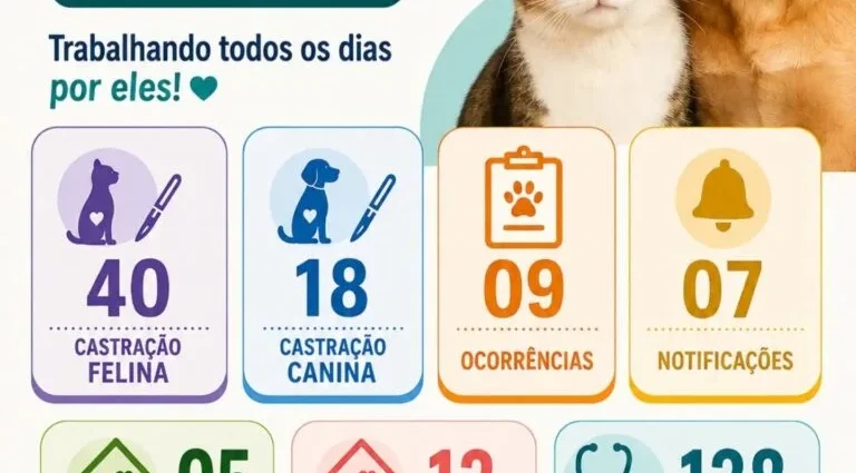 Balanço do Bem-Estar Animal em Castilho: 138 atendimentos e 18 adoções em julho
