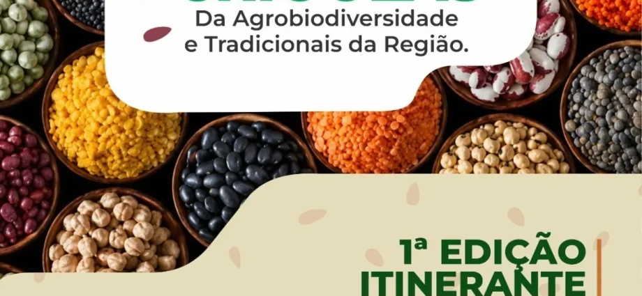 Feira de Sementes Crioulas terá edição itinerante inédita em Castilho neste sábado