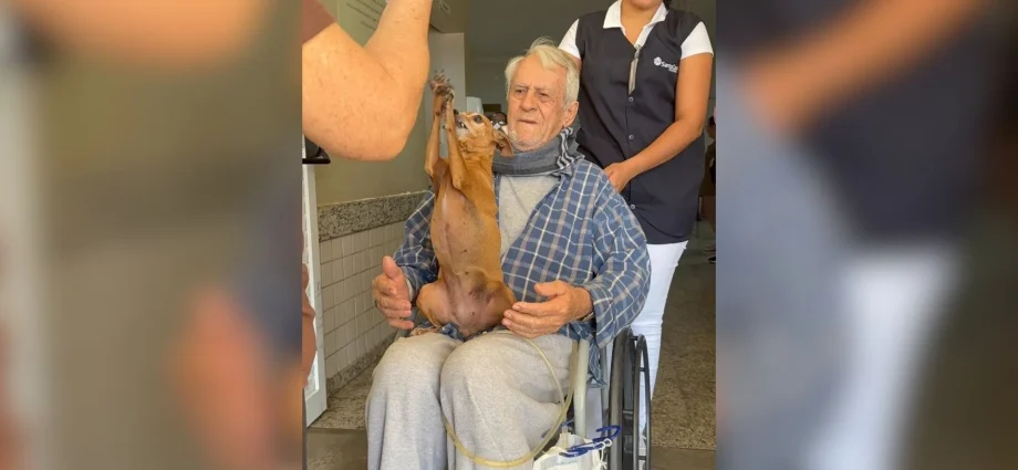 Idoso é surpreendido com visita de cachorrinha em hospital de Votuporanga